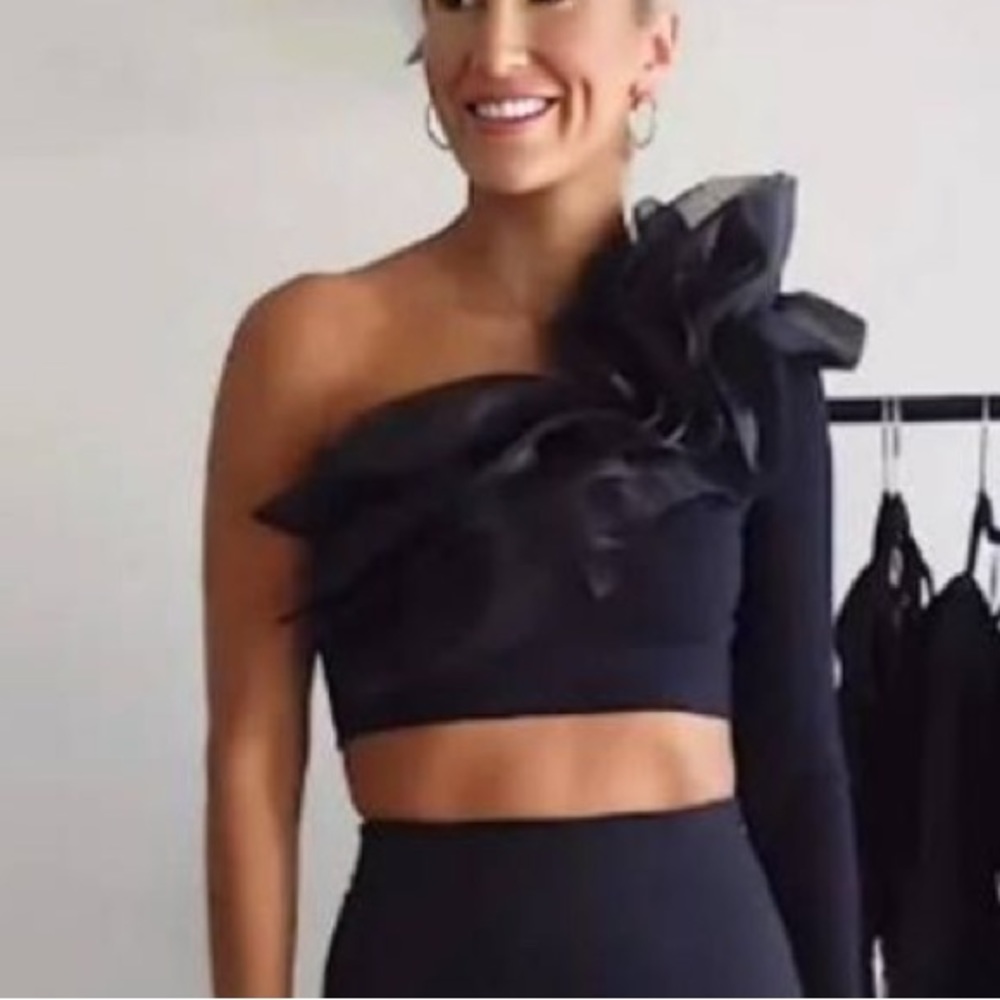 NWT Zara organza crop top